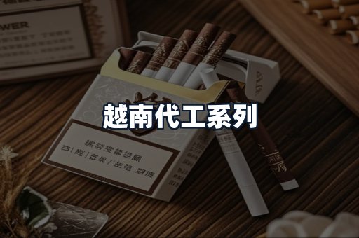 越南代工系列